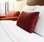 Bay Creek Guest House - Accommodation Mount Tamborine