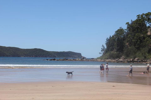Ocean Beach Cottage - Accommodation Mount Tamborine 5