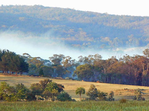 Candlebark Retreat - Accommodation Mount Tamborine 5