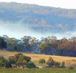 Candlebark Retreat - Accommodation Mount Tamborine