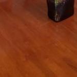  Accommodation Mount Tamborine