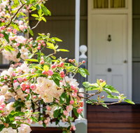 Apple Blossom Cottage - Accommodation Mount Tamborine