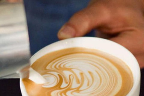 Quest Bella Vista - Accommodation Mount Tamborine 7