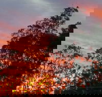 The York Heritage Hotel  Terraces - Accommodation Mount Tamborine