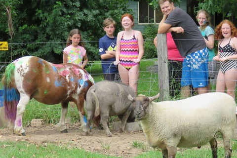 Kings Creek Retreat - Accommodation Mount Tamborine 1