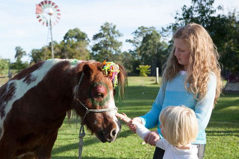 Kings Creek Retreat - Accommodation Mount Tamborine 5