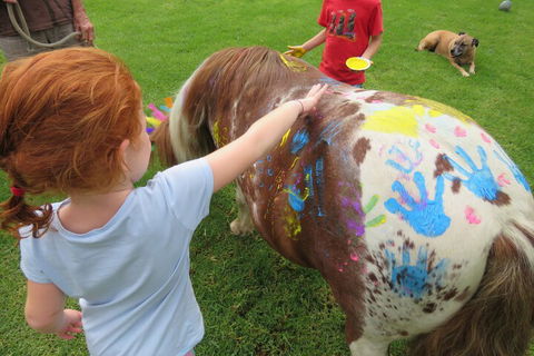 Kings Creek Retreat - Accommodation Mount Tamborine 3