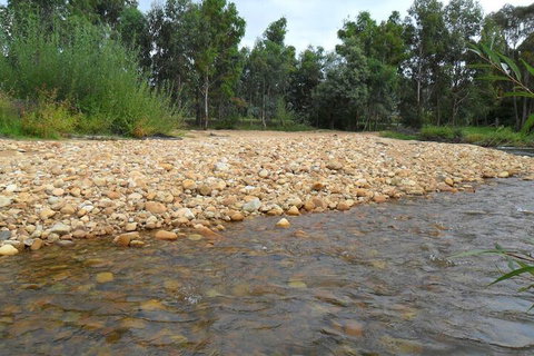 Brookfield Guesthouse - Accommodation Mount Tamborine 7