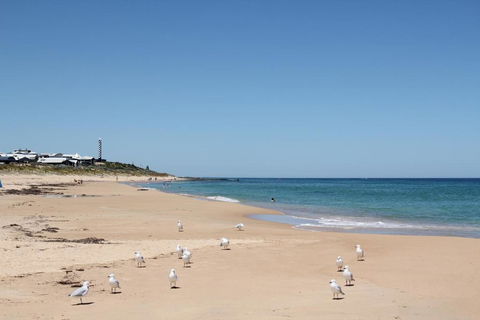 Bluebird Cottage - Accommodation Mount Tamborine 4