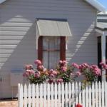 Bluebird Cottage - Accommodation Mount Tamborine 1