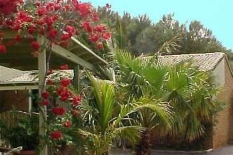 Wildsights Villas - Accommodation Mount Tamborine 2