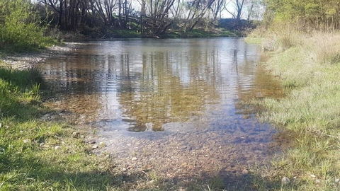 Abington Farm - Accommodation Mount Tamborine 2