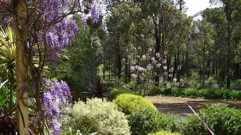 Country Charm Retreat B & B - Accommodation Mount Tamborine 4