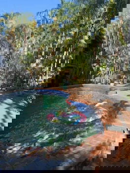 Frogshollow Backpackers - Accommodation Mount Tamborine 2