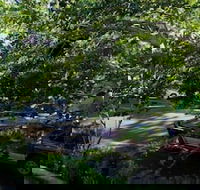 Glenellen Bed and Breakfast - Accommodation Mount Tamborine