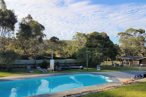 Woodbine Park Eco Cabins - Accommodation Mount Tamborine 3