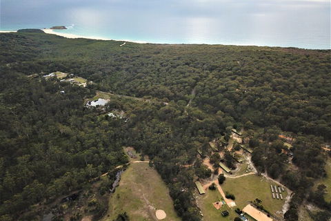 Woodbine Park Eco Cabins - Accommodation Mount Tamborine 1