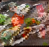 Toshi's Japanese Restaurant - Accommodation Mount Tamborine