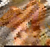 Kreate Noodle Bar - Accommodation Mount Tamborine