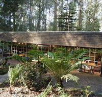 Canadian Pancakes - Accommodation Mount Tamborine