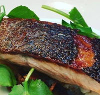 The Shaggy Cow - Accommodation Mount Tamborine