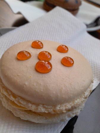 Yellow Bernard - Accommodation Mount Tamborine 0