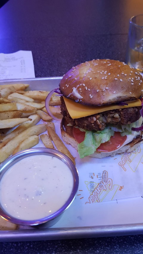 The Standard - Accommodation Mount Tamborine 3