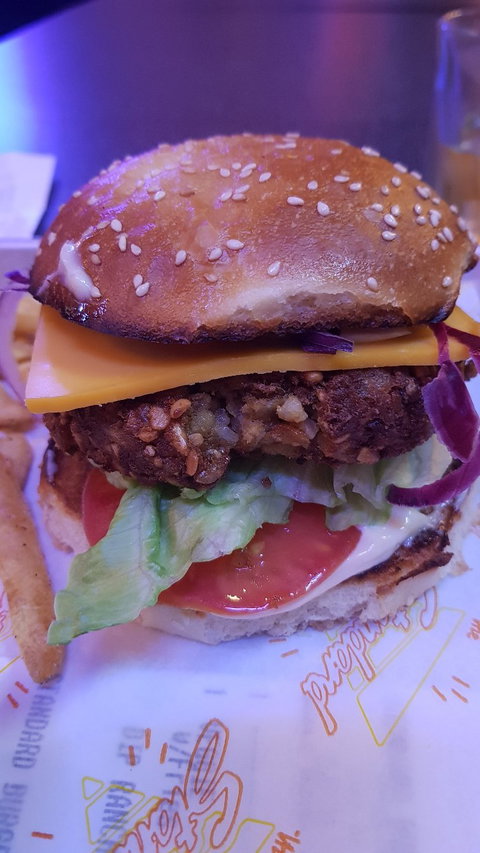 The Standard - Accommodation Mount Tamborine 4