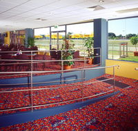 Club Paceway - Accommodation Mount Tamborine