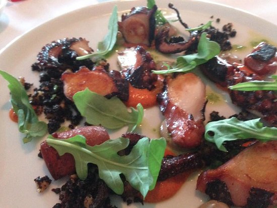 Pearl Beach NSW Accommodation Mount Tamborine