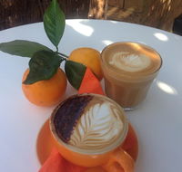 The Orange Tree - licensed cafe by the river - Accommodation Mount Tamborine