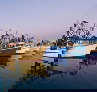 Clarence River Fishermen's Co-Operative - Accommodation Mount Tamborine