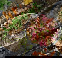 OlleyvilleShaw - Accommodation Mount Tamborine