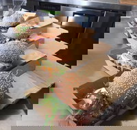 SurfSliders - Accommodation Mount Tamborine