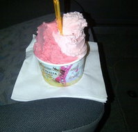 Lic Gelato - Accommodation Mount Tamborine