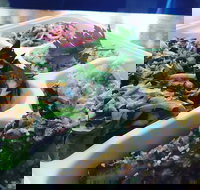 Steam  Cedar - Accommodation Mount Tamborine