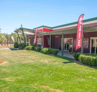 Willow Tree Cafe - Accommodation Mount Tamborine