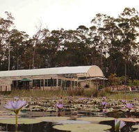 Abundance Cafe and Garden Centre - Accommodation Mount Tamborine