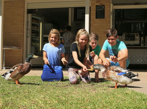 Arkarra Gardens Cafe And Restaurant - Accommodation Mount Tamborine 2