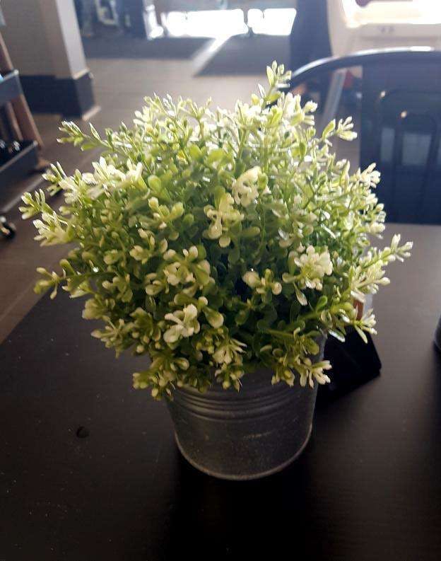 Mount Richon WA Accommodation Mount Tamborine