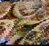 The Re Store Northbridge - Accommodation Mount Tamborine