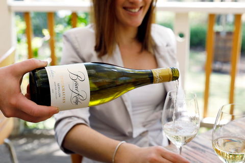 Briar Ridge Vineyard - Accommodation Mount Tamborine 2