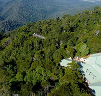 Canopy Cafe - Accommodation Mount Tamborine