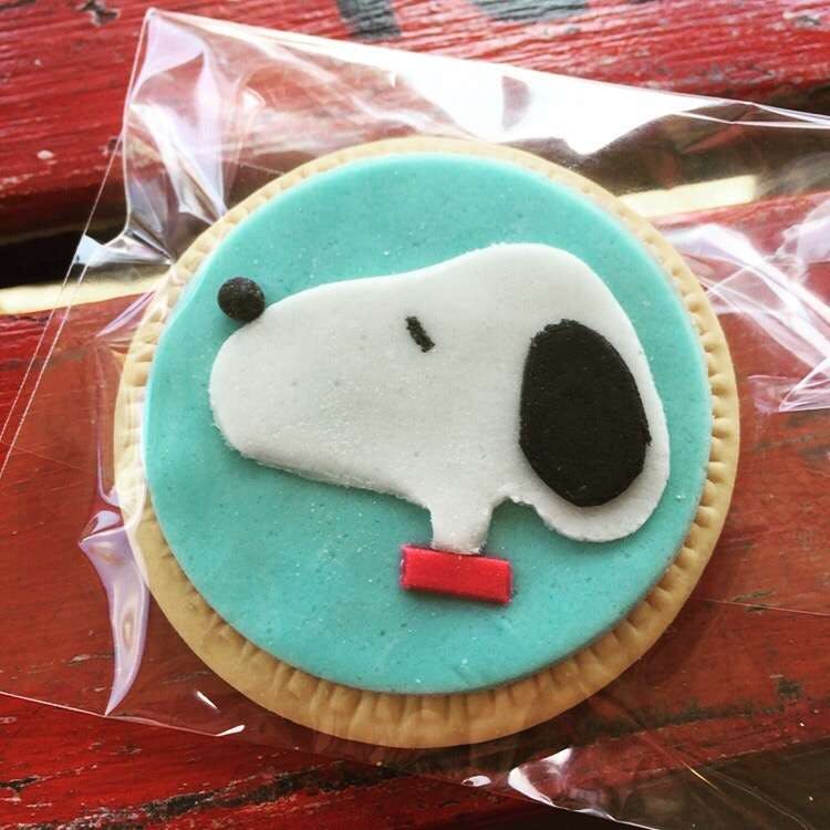 Thornleigh NSW Accommodation Mount Tamborine