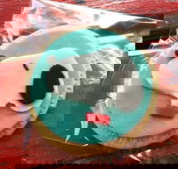 Curl the Whisker Cafe - Accommodation Mount Tamborine