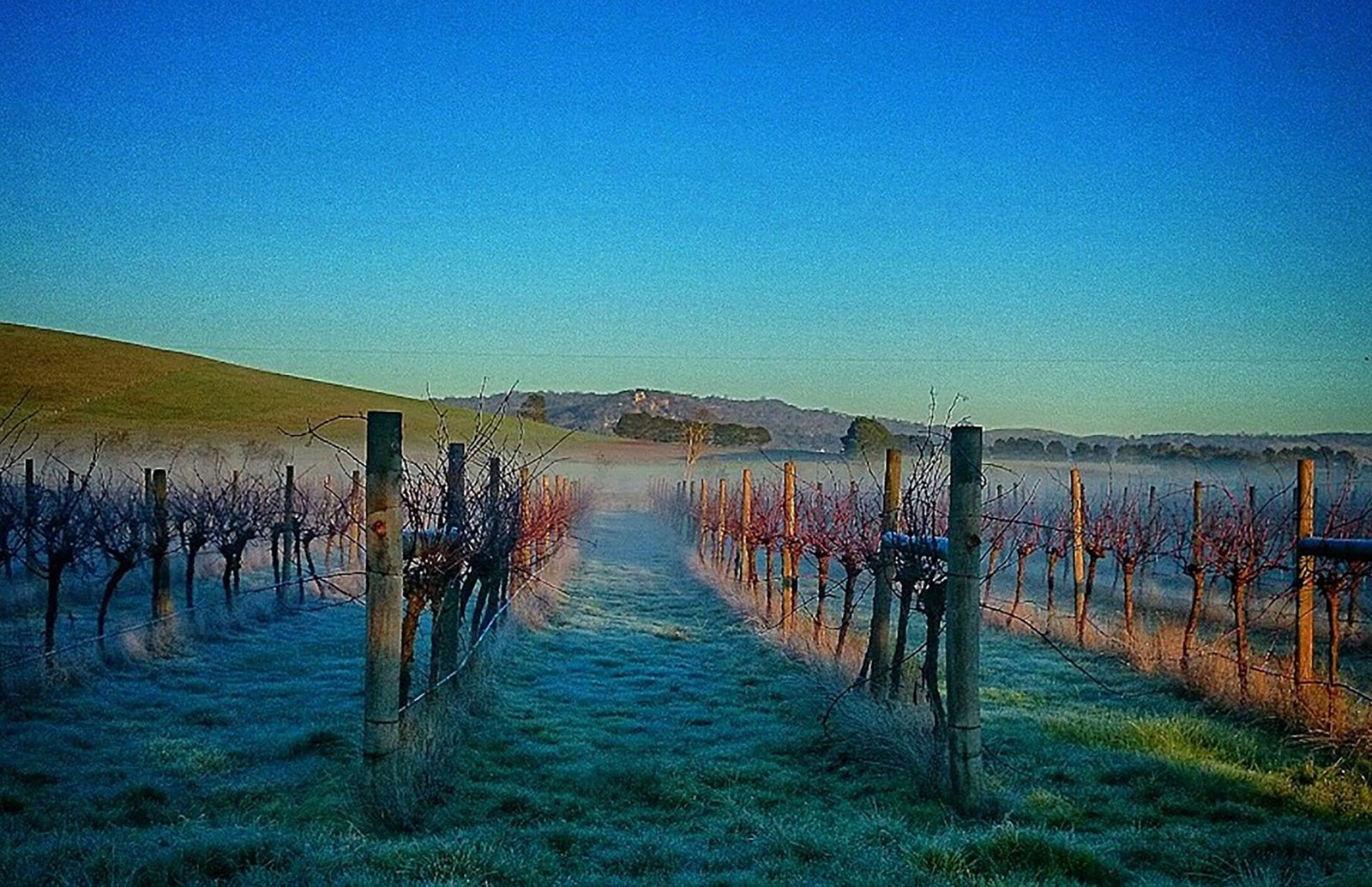 Coghills Creek VIC Accommodation Mount Tamborine