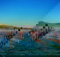 Eastern Peake Winery - Accommodation Mount Tamborine