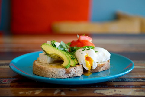 Shebani's Tastes Of The Mediterranean - Accommodation Mount Tamborine 2