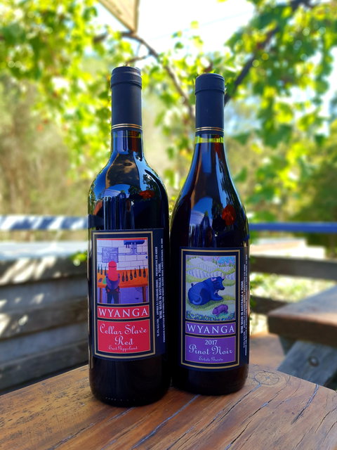 Wyanga Park Winery - Accommodation Mount Tamborine 1