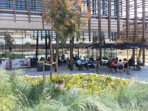 Aroma Cafe - Mawson Lakes - Accommodation Mount Tamborine 0